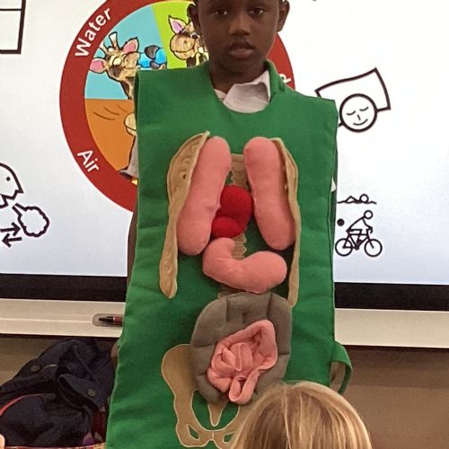 PSHE - When Harold came to visit
